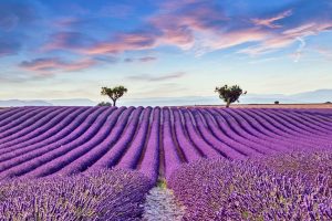 attractions provence